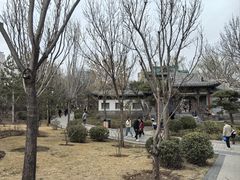 -迎泽公园
