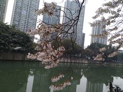 -成都市活水公园
