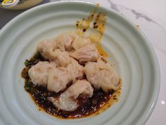 -珍味马边曹五抄手