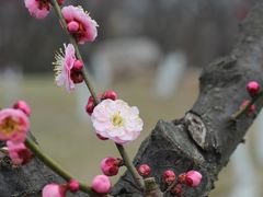 -七桥瓮公园