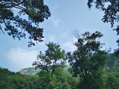 -北京上方山国家森林公园