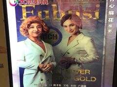 -大地影院(上海南汇店)