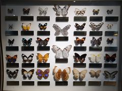 -上海昆虫博物馆