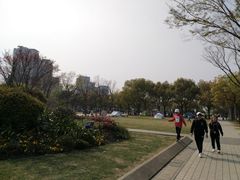 -新江湾城公园
