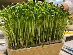 -海底捞火锅(杭州萧山宝龙广场店)