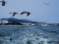 -刘公岛景区