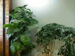 大堂-家琳甜品(江南东店)