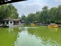 -团结湖公园