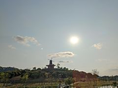 -东莞植物园