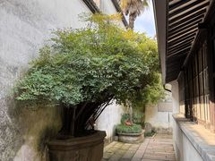 -乌镇东栅景区-茅盾故居