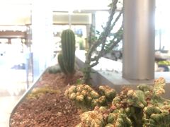 -蔡澜点心·粤菜(丽泽天街店)