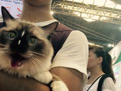 -东浩兰生上海世博展览馆