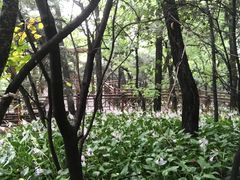 -北京宽沟会议中心