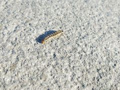 -长春公园(普阳街道)