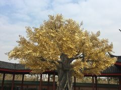 -广东圆玄道观