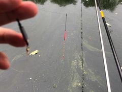 -酷鱼垂钓CLUB(朝阳区博大路店 )