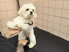 -FAELING PETS美天灵宠物(富力广场店)