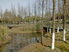 -尚贤河湿地