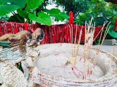 -广州市帽峰山景区