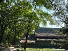 -元大都城垣遗址公园