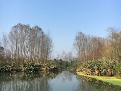 -桤木河湿地公园