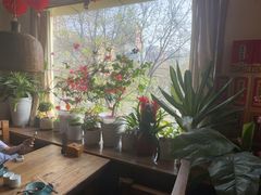 -云之南(八里庄店)