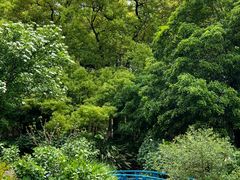 -上海共青森林公园