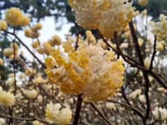 -张江润和国际总部园