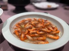 -子福慧(虹桥店)