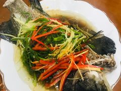 -众彩物流水产市场