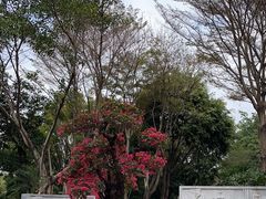 -深圳国际园林花卉博览园