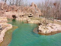 -北京野生动物园