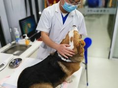 -美美宠物诊疗中心·异宠·骨科(滨江东信分院)