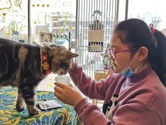 -平行世界·猫咖(首经贸店)