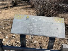 -稻城亚丁景区-冲古草甸