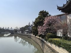 -三林塘老街