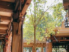 -Tangled Tree Tavern 老藤树食栈