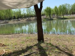 -东郊湿地公园