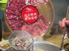 -手选潮汕鲜活牛肉火锅(二七广场店)