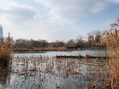 -济南大明湖景区