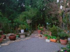 -谷咖啡·鲜花绿植花园餐厅