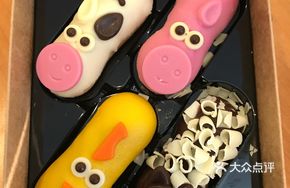 Cute Pet Paradise