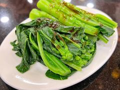 白灼蚝油碧绿鲜菜心-丽的面家(多宝路店)