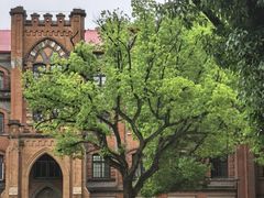 -苏州大学(天赐庄校区)