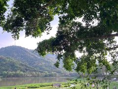 -风云岭森林公园