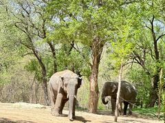 -北京野生动物园