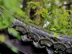 -杭州植物园