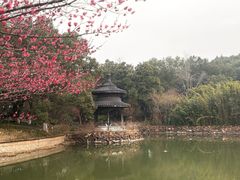 -天目湖山水园
