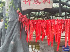 -白鹿原·白鹿仓