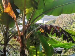 -水濂山森林公园